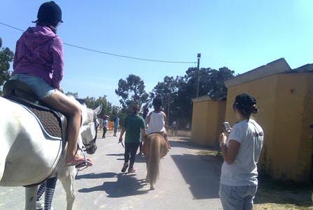 Surfaventura Multiactividades Cavalos